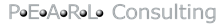 Logo-Partnerschaft Pearl Consulting