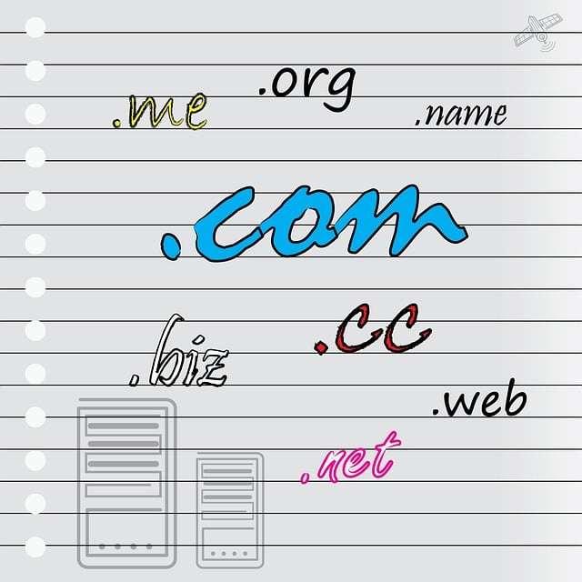 Transfer Domain Tri-W-Data